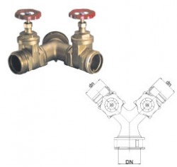 ART. 46 DIVISORIO A DUE VIE, CON SARACINESCHE